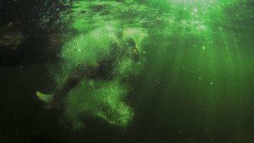 What Would Happen If All Oceans Turned To Acid?