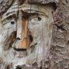 20 Amazing Wood Sculptures You Won’t Believe!