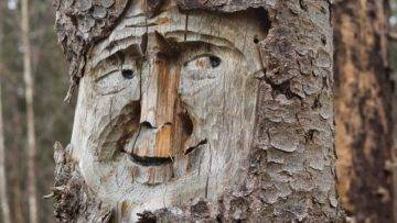 20 Amazing Wood Sculptures You Won’t Believe!