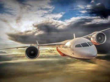 What REALLY Happens When Birds Fly Into A Plane Engine?