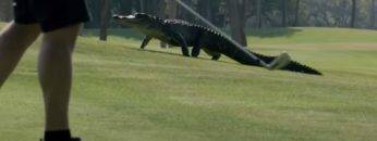 14 REALLY Weird Moments Caught on Camera