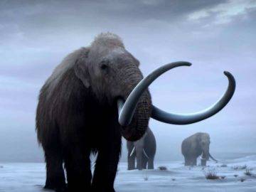 What If Mammoths Never Went Extinct?