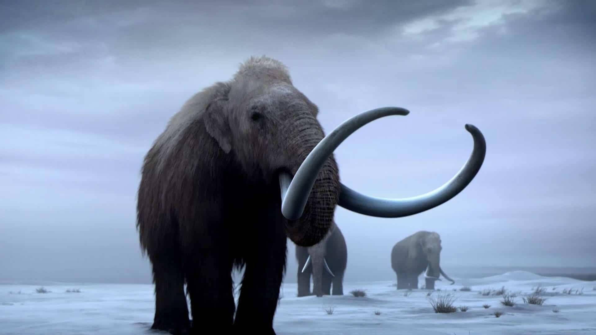 What If Mammoths Never Went Extinct?
