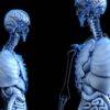 100+ Amazing Facts About Your Body You NEVER Knew About!