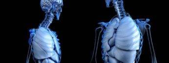 100+ Amazing Facts About Your Body You NEVER Knew About!