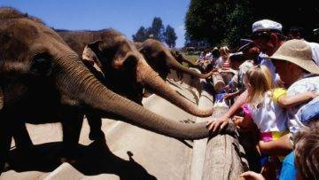 Top 10 Best Zoos In the World You Need To Visit!