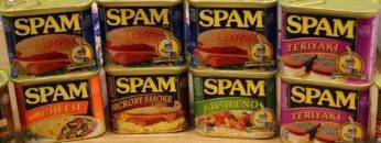 Top 16 Best Spam Flavors (Ranked Worst to Best)!