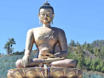 Top 20 Things That Are Much BIGGER Than You Always Thought!