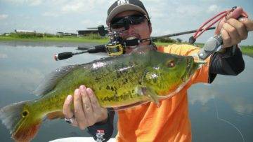 Top 10 Most Expensive Fish In The World (If You Can Catch Them)