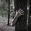 Top 10 Most HAUNTED Forests In the World!