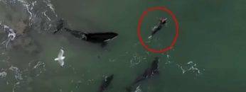 15 Unbelievable Beach Photos You NEED To See To Believe!