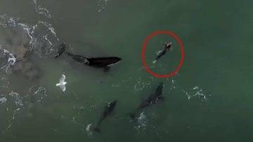 15 Unbelievable Beach Photos You NEED To See To Believe!