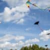 What If There Was No Wind On Earth?