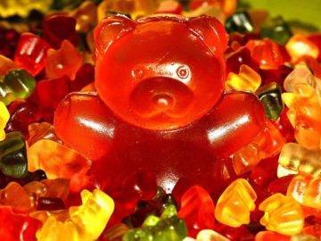 Top 7 Facts About Gummy Bears You Need To Know!