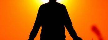 What If Humans Could Shapeshift?