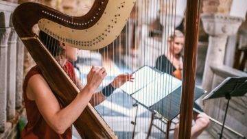 Top 15 Strangest Musical Instruments You’ve Never Played Before!