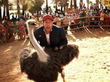 Top 9 Weirdest Contests in the World!