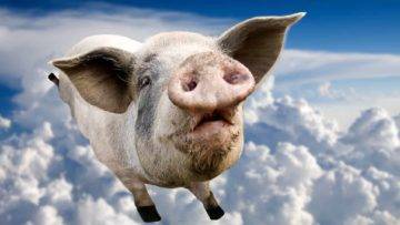 Top 15 Unbelievable Things That Fell From The Sky!