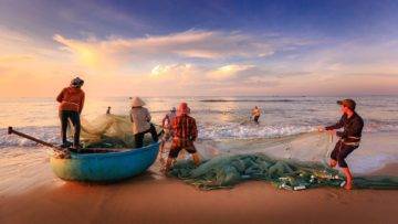 Top 15 Strangest Things Washed Up On The Beach!