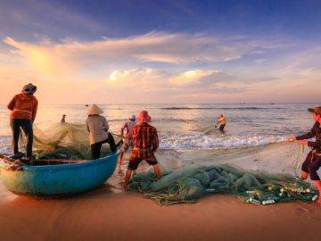 Top 15 Strangest Things Washed Up On The Beach!