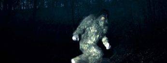 What If Bigfoot Actually Exists?