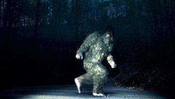 What If Bigfoot Actually Exists?