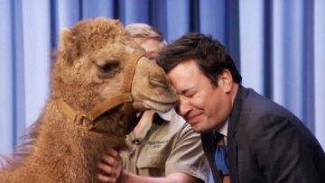 Top 10 Funniest Animal Moments On Talk Shows!