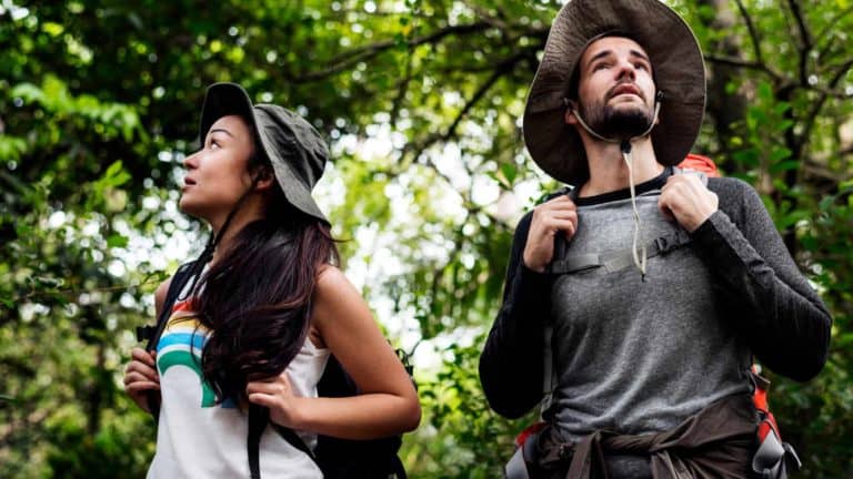 How To Survive If You Are Lost In The Amazon Jungle?