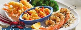 Shocking Truths About Red Lobster Endless Shrimp! Is It Really Endless?