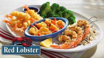 Shocking Truths About Red Lobster Endless Shrimp! Is It Really Endless?