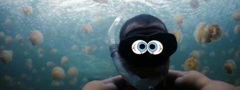 Would You Die If You Fell Into A Pool Of Jellyfish?